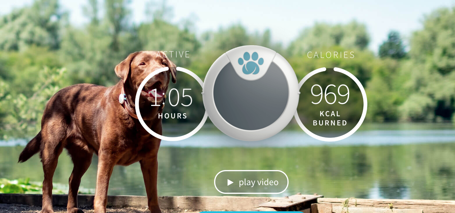 RedLine13 Soak Testing for Customer Sure Petcare